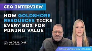 Goldshore Resources CEO Brett Richards Highlights the Potential of the Moss Lake Gold Project 