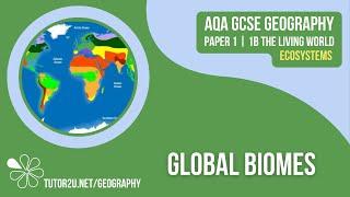 Global Biomes | AQA GCSE Geography | Ecosystems 4