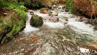 Turbio River Chile (Portal)