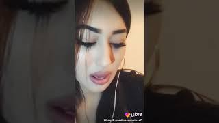 Узбечка перепела нюшу