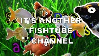 FishTube Channel (TRAILER) - breeding, aquascaping, plants, diy