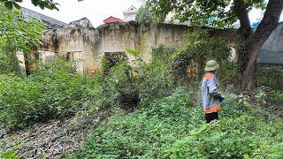 Complete Change After Cleaning Up Abandoned Buildings Cutting Overgrown Weeds to Help People Use It