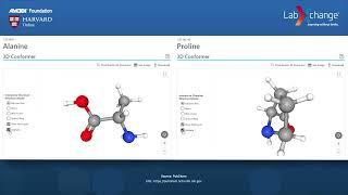 Exploring the Structure of Alanine and Proline Amino Acids