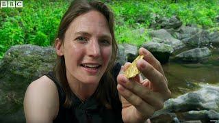 Where Does Gold Come From? | Colour: The Spectrum of Science | Earth Science