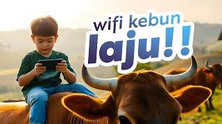 Saya lajukan wifi di kebun, ready untuk projek cool