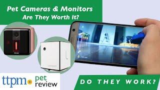 Pet Cameras & Monitors | Do They Work? | Are They Worth It!? | (We Tested Them All)