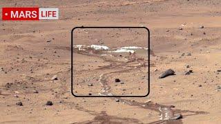 NASA Mars Rover Sent Super Incredible Footage of Mars! Perseverance and Curiosity' Rover Mars in 4K
