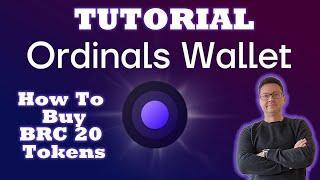 Ordinals Wallet - Easy Tutorial How To Create An Account + BUY BRC20 Tokens / Bitcoin NFTs