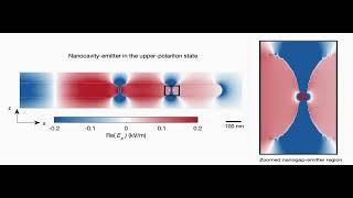 ‘Immortalization’ of Quantum States by Quantum Nanoplasmonic Coherent Perfect Absorption