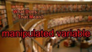 What does manipulated variable mean?