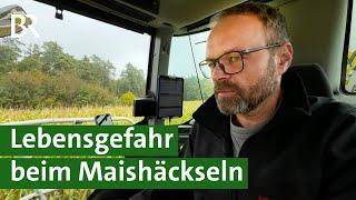 Gefährliche Maisernte: Was tun gegen Sabotage auf dem Acker? | Unser Land | BR