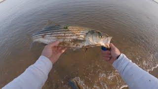 HOW TO FISH FOR STRIPED BASS / STRIPERS USING TAPEWORMS / RIBBON WORMS OFF NJ NY SURF - Episode 11