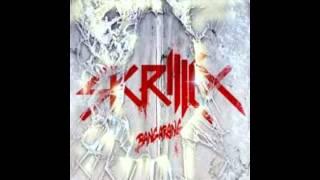 DJPaullywally - SKRILLEX BANGARANG ALBUM MIX (Full Album) IN 1080P!