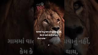 New gujarati status 2021#status # attitude  #havaj #gujarati dayro #gujju status yt &# new top 1