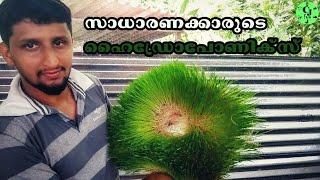 ഹൈഡ്രോപോണിക്സ്: ആർക്കും വീട്ടിൽ ചെയ്യാം|Hydroponic Green Fodder at Home|CJ Farms|Hydroponics