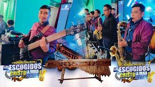 Los Escogidos de Cristo en concierto en comitancillo San Marcos en vivo    Marimba Orquesta