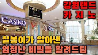 #강원랜드카지노  철봉이가 알아낸 엄청난 비밀을 알려드림
