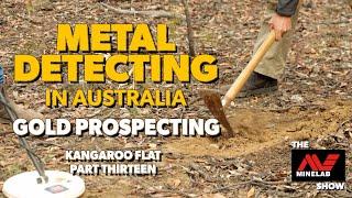 Gold Prospecting in the Kangaroo Flat Goldfields with Minelab Metal Detectors - Part 13