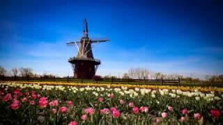 Tulip Time at Windmill Island Gardens in 4K