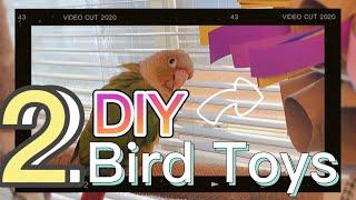 2 DIY Bird Toys | Cheap Foraging DIY toys that will last for your birds