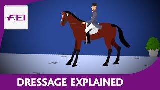 Introduction to Dressage