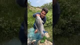 Best Fishing Videos : Primitive Skills  :cast Net Fishing ; Net Fishing in River :cast netting