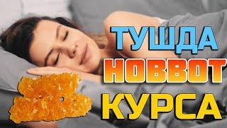 Тушда Новвот курса - Tushda Novvot ko'rsa