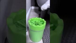 ВАШ КОТЁНОК МОЕТ ЛАПКИ?#cat