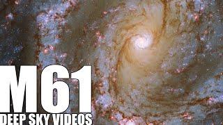 M61 - Barred Spiral Galaxy - Deep Sky Videos