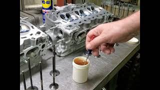 Cylinder head assembly lube. For valves and guides.