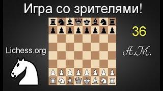 ИГРА СО ЗРИТЕЛЯМИ №36 на lichess.org ШАХМАТЫ.Андрей Микитин.