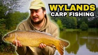 **24hrs Sessions At Wylands Fishery**Carp Fishing | Carp Basics | Ronnie Rig ꟾ July 2024