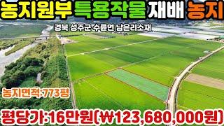 NO:1-400번#성주군땅.성주땅.성주군부동산.성주부동산.성주군공인중개사.경북성주군수륜면남은리귀농토지.성주군수륜면남은리농경지.성주군수륜면남은리귀농지.성주군수륜면남은리귀농귀촌토지매매