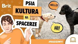 RADZIMY: Psia kultura na spacerze! - Brit Polska