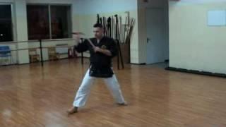 Okinawan Kobudo - Nunchaku