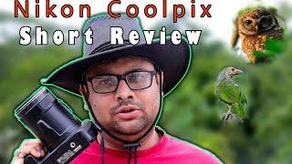 Nikon Coolpix Review After 6 years | Bird photography | Wildlife Photography | P900, P950 P1000