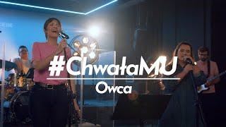 #ChwałaMU [#04] - Modlitwa Uwielbienia | Owca