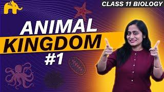 Animal Kingdom Class 11 Biology | NCERT Chapter 4 | CBSE | One Shot  #1