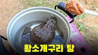 황소개구리 된장 발라서 푹 끓여보았습니다