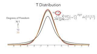 Parametric Models in Statistics