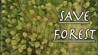 International Forest Day || DGC Communication