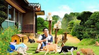 伊藤淳史×キュートな猫たち！映画『ねこあつめの家』予告編