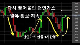 천연가스 & 원유, 초조함은 판단 실수 유발 금요장마감 12월27일