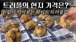 화이트 트러플의 고장 피에몬테 알바(Alba)에서 트러플 구매하기, 알바 맛집 #이탈리아여행 #whitetruffle