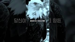 성공하는 사람들의 공통점 인생 성공 비결
