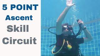 5 Point Ascent  Divemaster & Instructor PADI IDC Skills Circuit