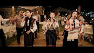 Fetele din Botosani - Colaj muzica de petrecere, muzica populara, hore si sarbe