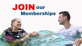 Marcel Van Den Berg MEMBERSHIPS!