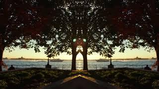 Adam Trilling Music Visual