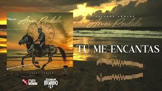 Tu Me Encantas - (Visualizer) - Eslabon Armado - DEL Records 2024